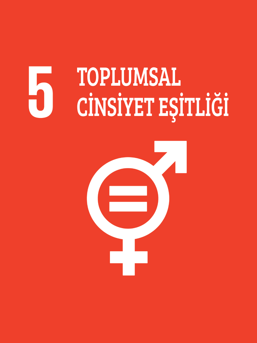 Toplumsal Cinsiyet Eşitliği