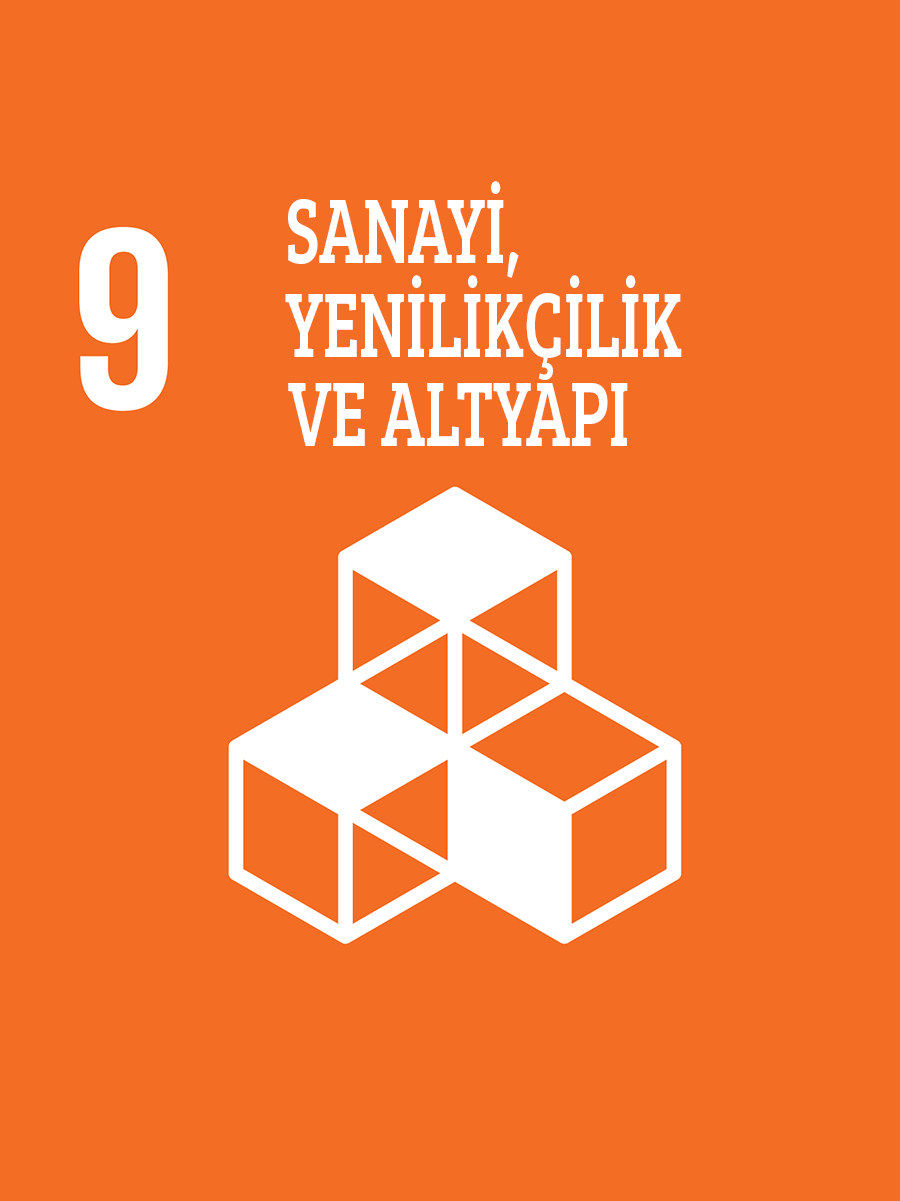 Sanayi, Yenilikçilik ve Altyapı