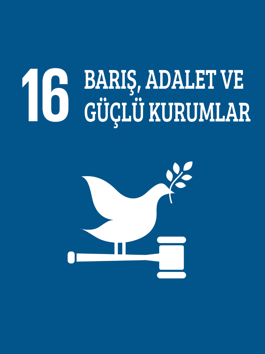 Barış, Adalet ve Güçlü Kurumlar